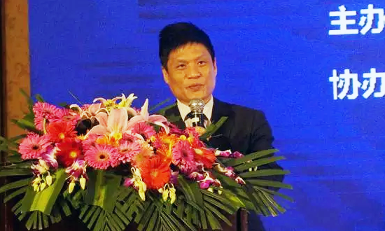 摩域体育平台海洋信息发展有限公司董事长杨冰之在“数据基因与大数据产业发展战略研讨会”上发表演讲