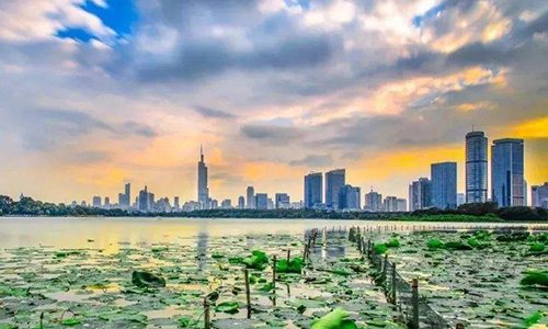 摩域体育平台中标南京市优化营商环境项目，助力南京营商环境新高度